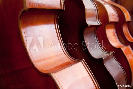 Picture of four double basses in a row